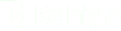 Bahigo Casino Logo